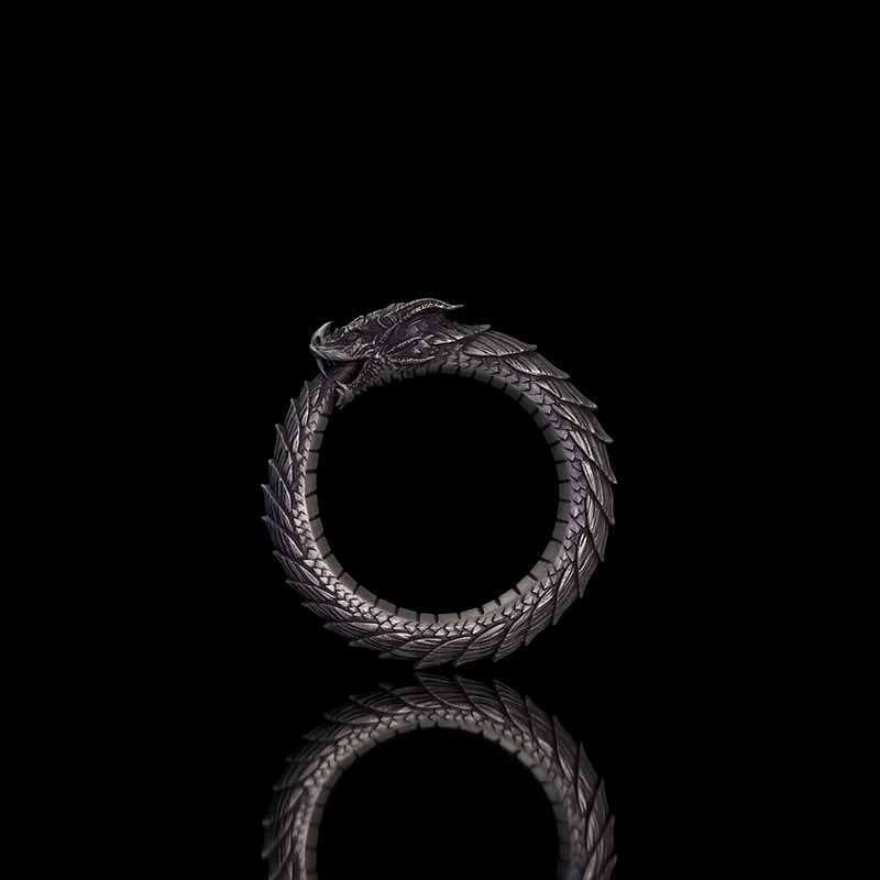 Punk Ouroboros Snake Sterling Silver Ring 01 | RoyalLuster.com