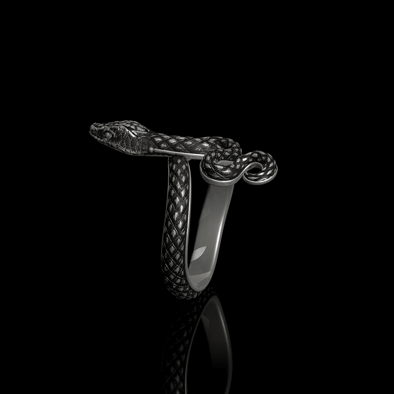 Covetous Silver Sanke 925 Sterling Silver Ring