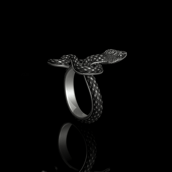 Covetous Silver Sanke 925 Sterling Silver Ring