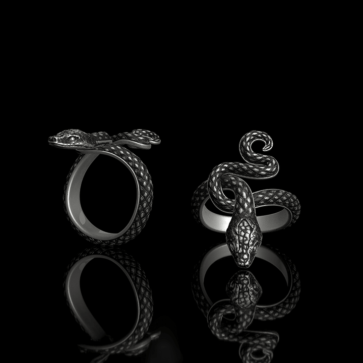 Covetous Silver Sanke 925 Sterling Silver Ring