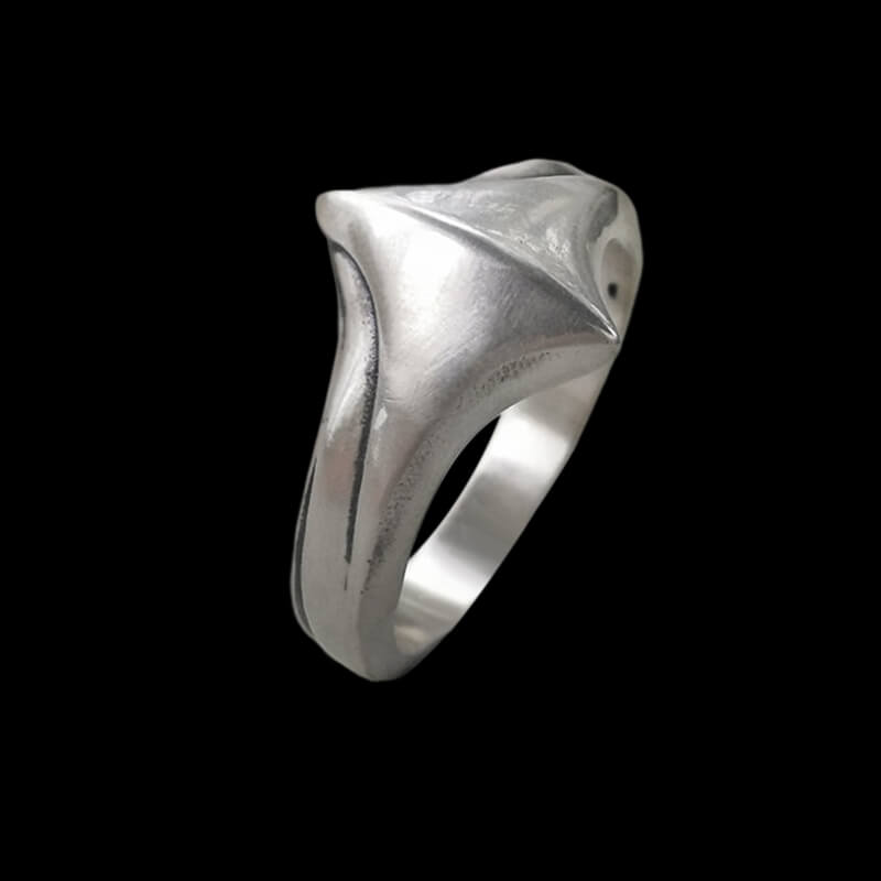 Flying Wing 925 Sterling Silver Ring
