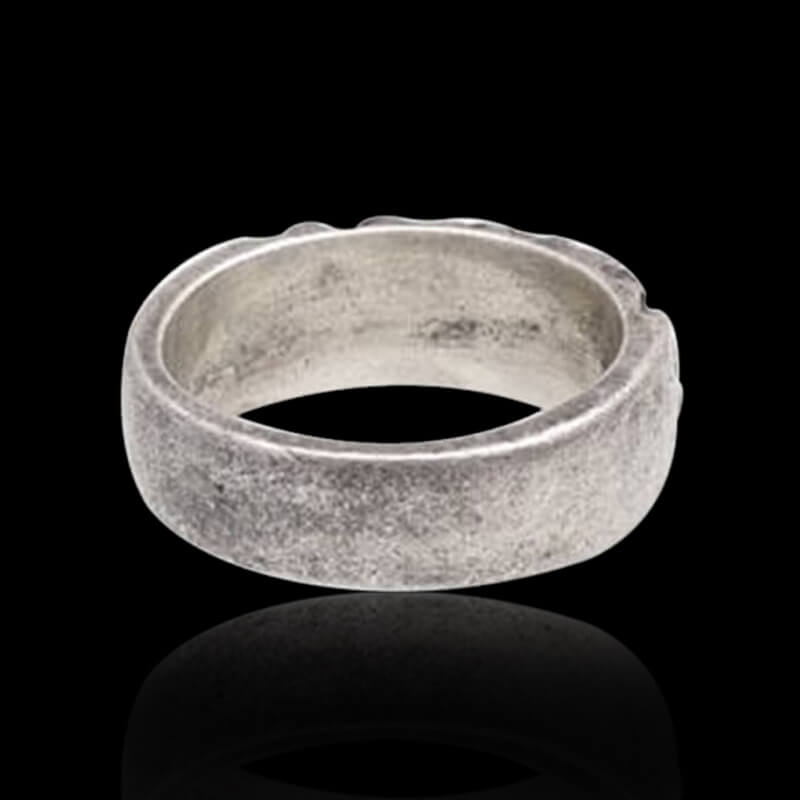 Minimalist Aerolite 925 Sterling Silver Ring 04 | RoyalLuster.com