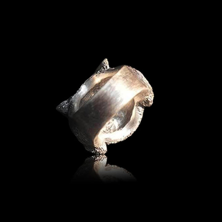 Smiling Cat 925 Sterling Silver Brass Ring