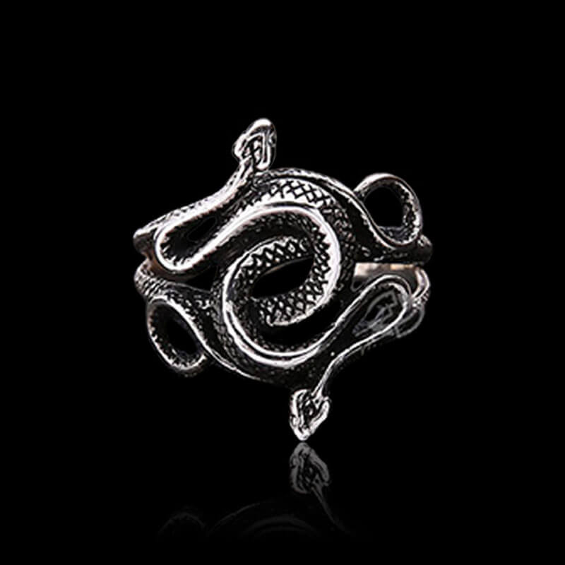 Two-Headed Snake Entwined 925 Sterling Silver Ring 02 | RoyalLuster.com