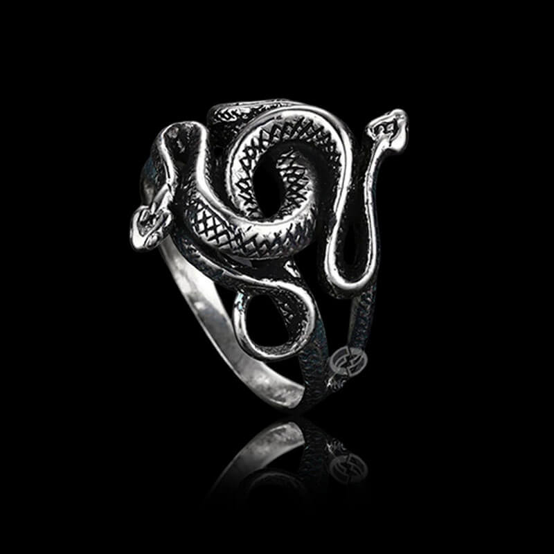 Two-Headed Snake Entwined 925 Sterling Silver Ring 03 | RoyalLuster.com